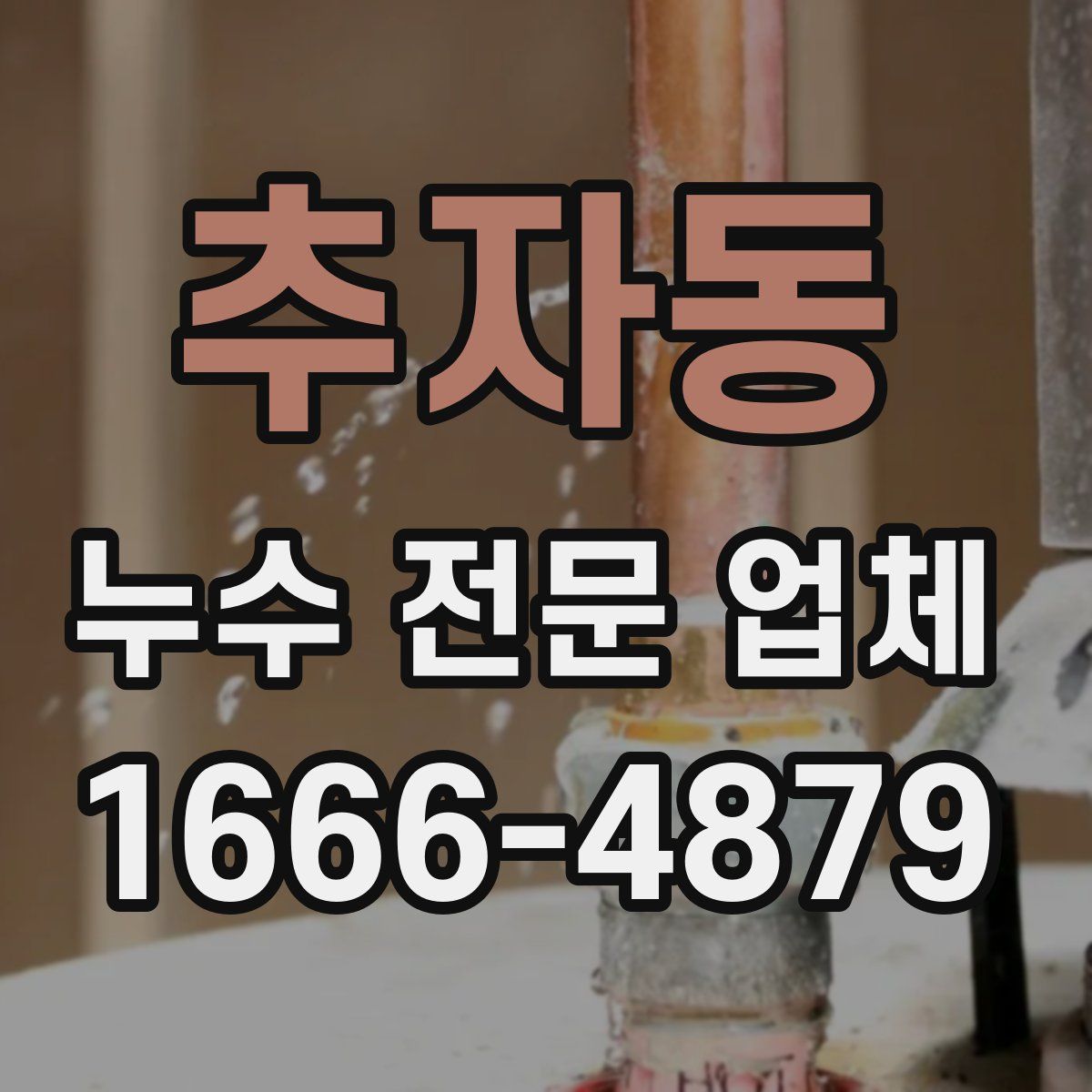 추자동 누수 전문 업체