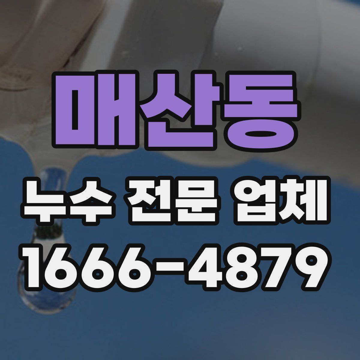 매산동 누수 전문 업체