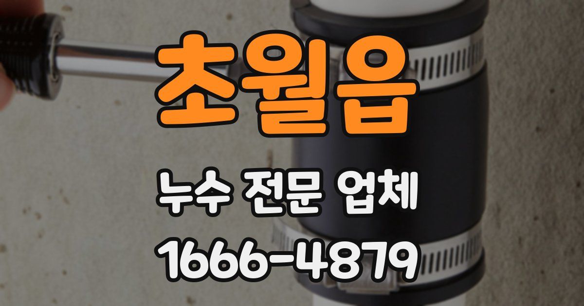 초월읍 누수 전문 업체
