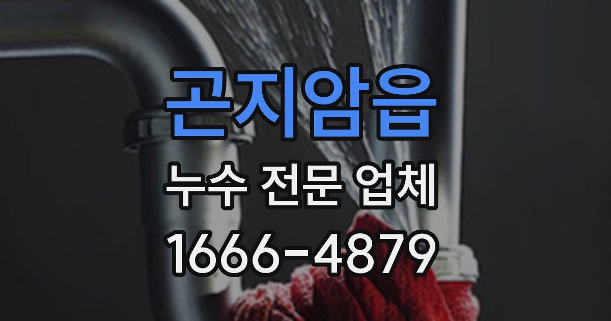 곤지암읍 누수 전문 업체