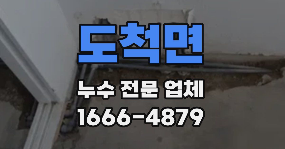 도척면 누수 전문 업체