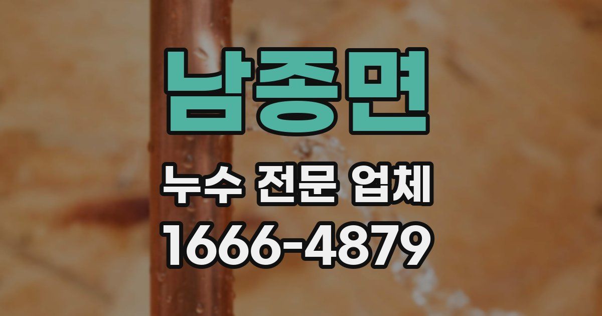 남종면 누수 전문 업체