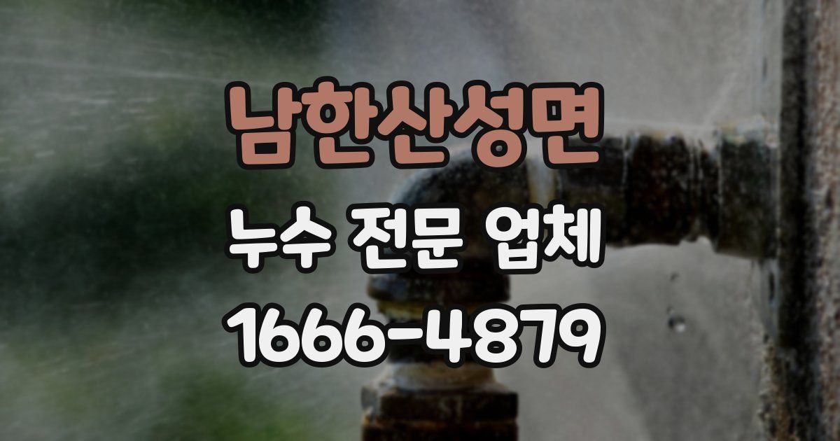 남한산성면 누수 전문 업체