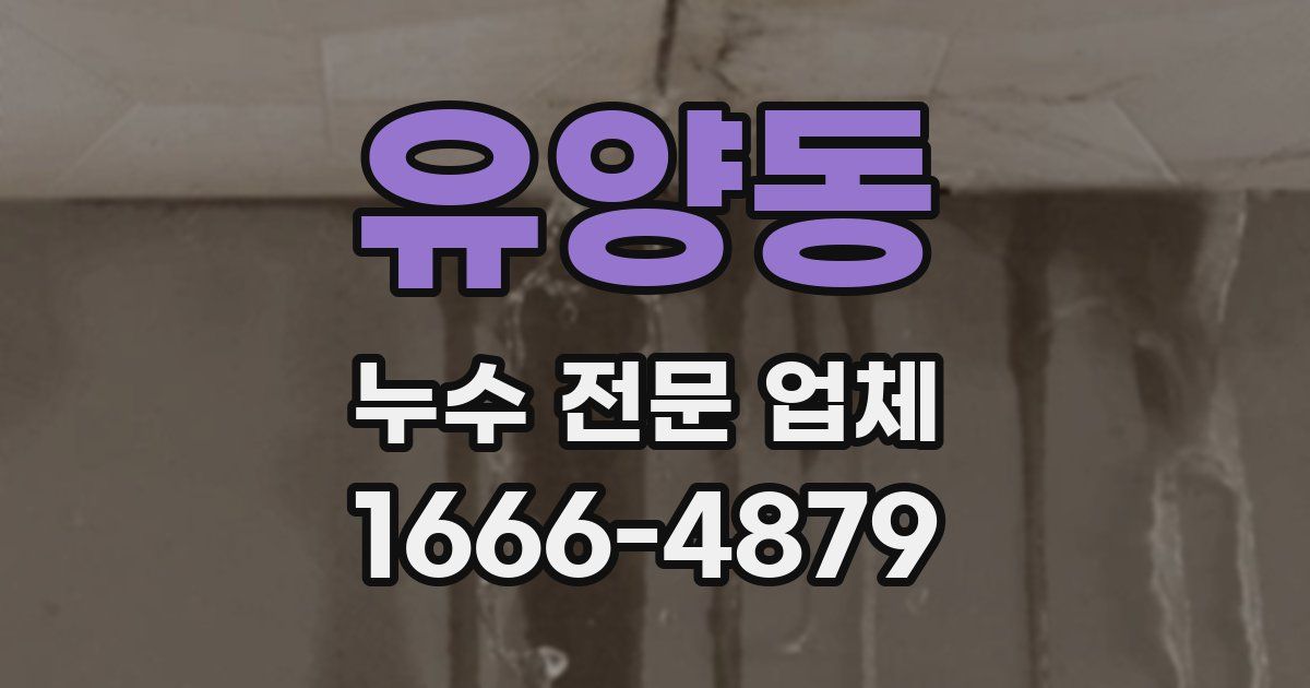유양동 누수 전문 업체