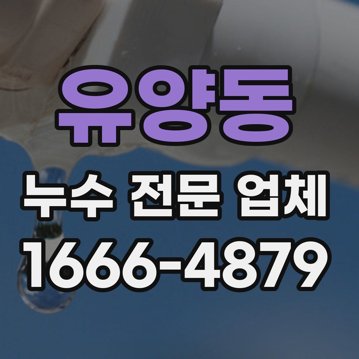 유양동 누수 전문 업체