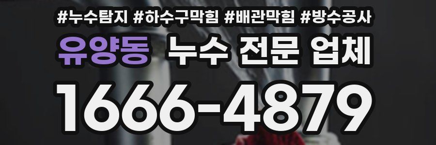 유양동 누수 전문 업체