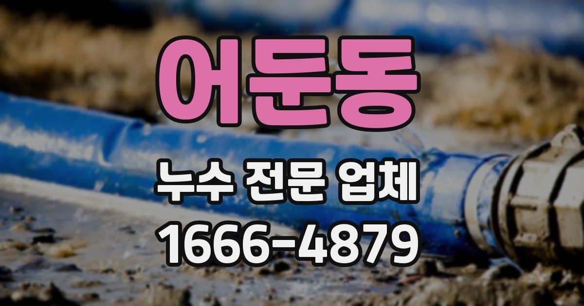 어둔동 누수 전문 업체
