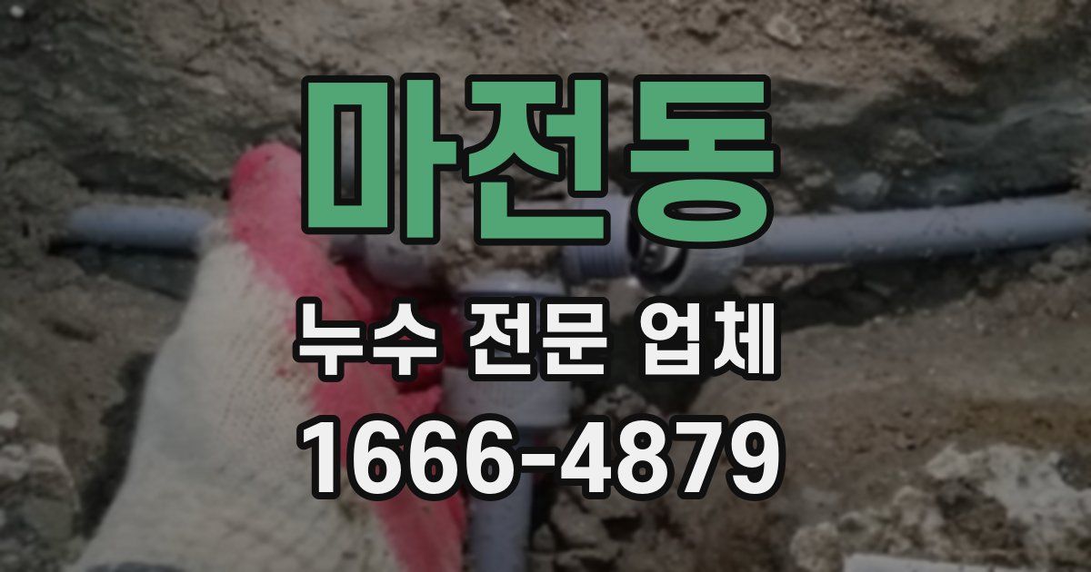 마전동 누수 전문 업체