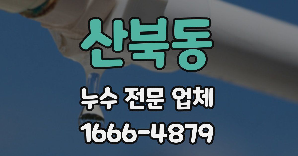 산북동 누수 전문 업체