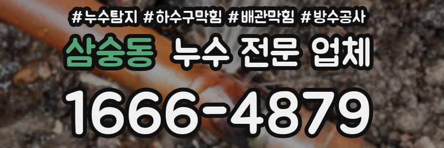 삼숭동 누수 전문 업체