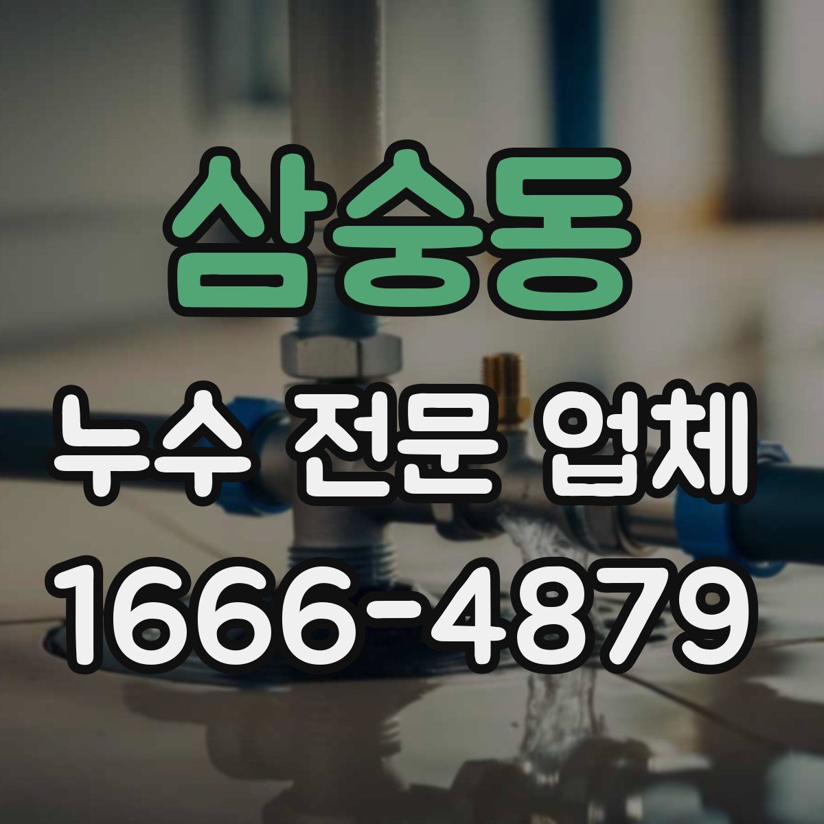 삼숭동 누수 전문 업체