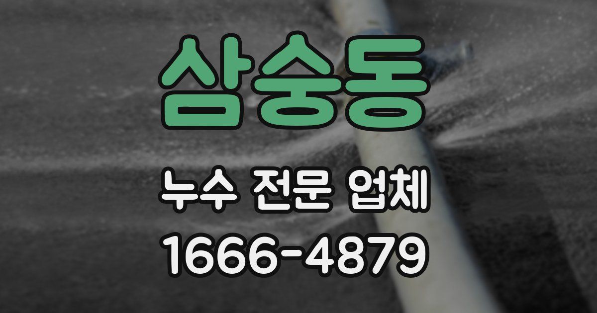 삼숭동 누수 전문 업체