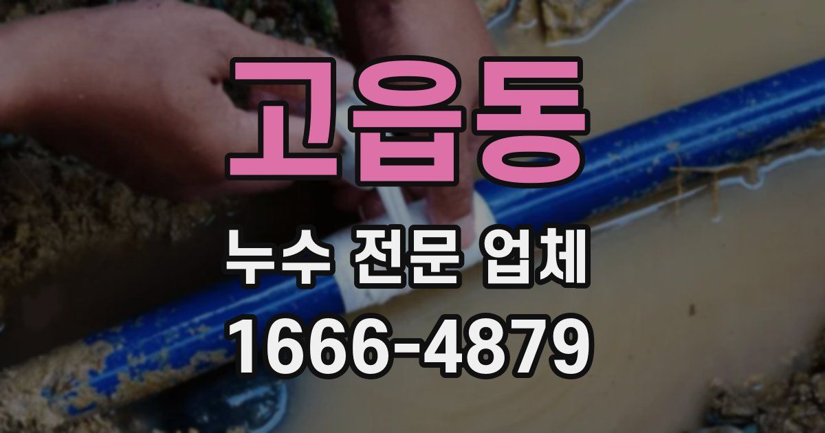 고읍동 누수 전문 업체