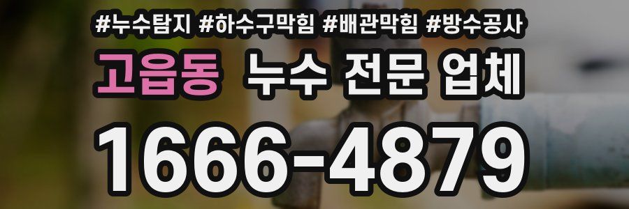 고읍동 누수 전문 업체