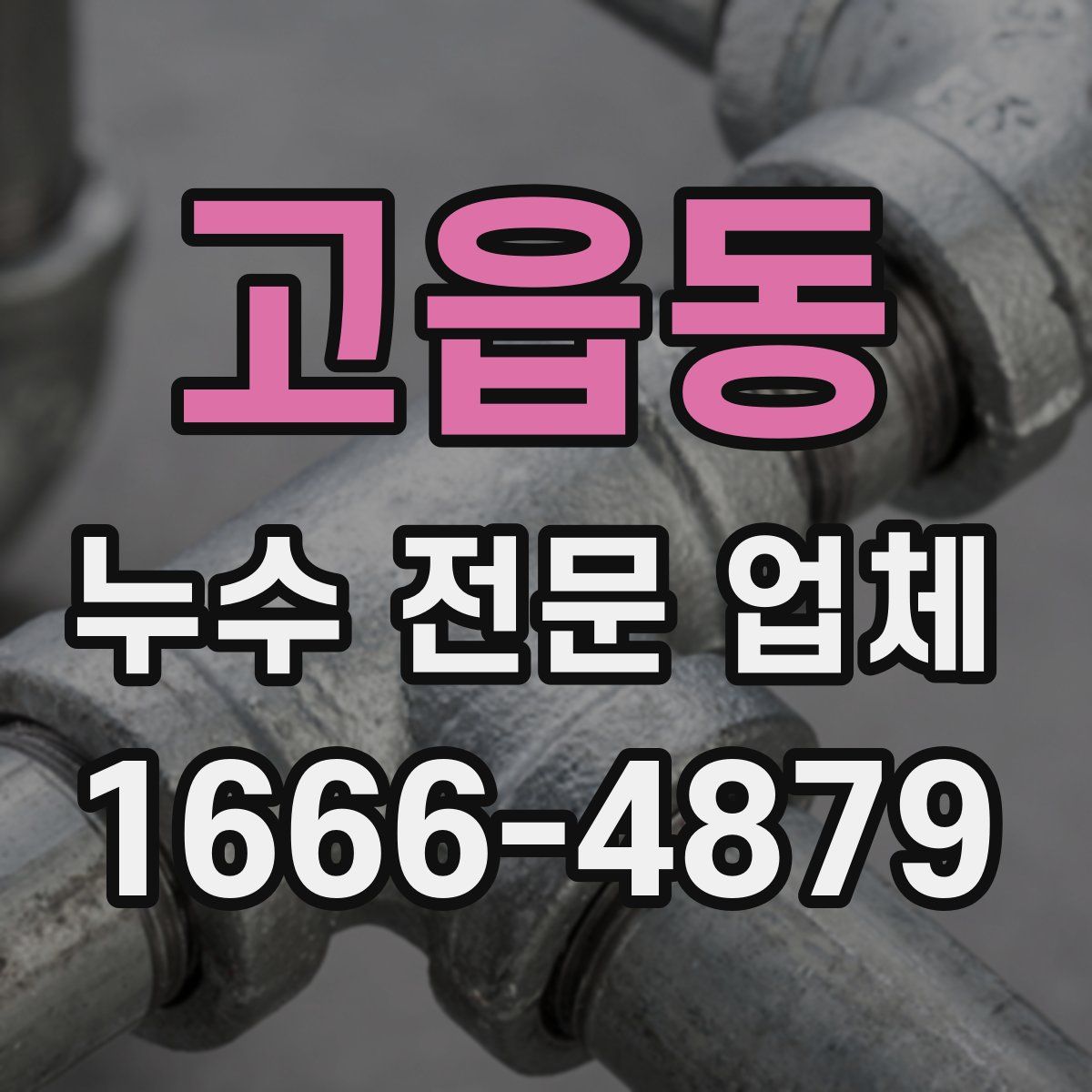 고읍동 누수 전문 업체