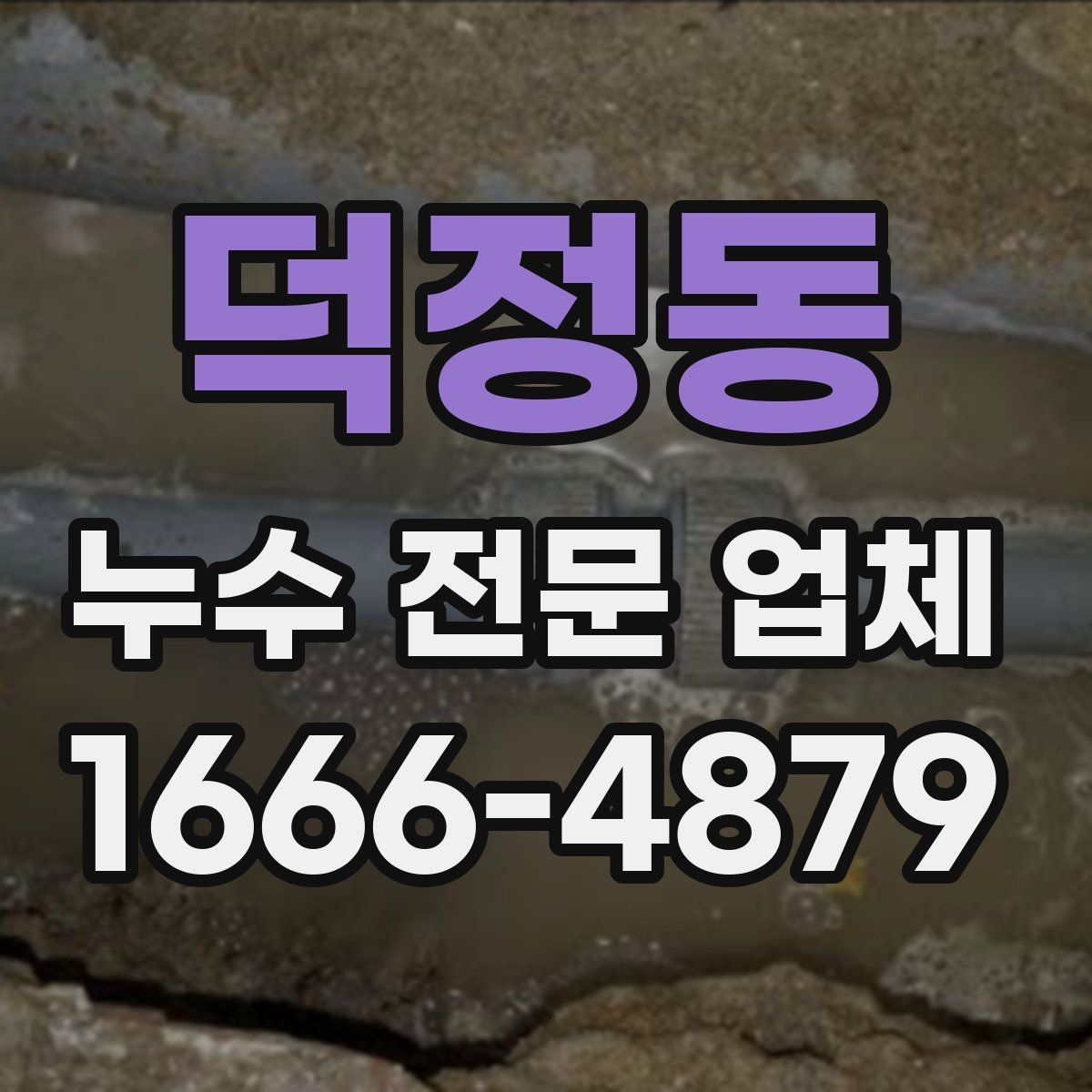 덕정동 누수 전문 업체