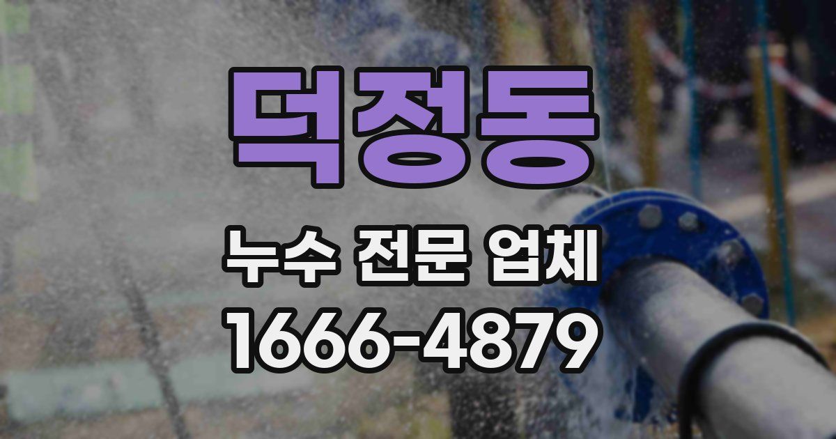 덕정동 누수 전문 업체