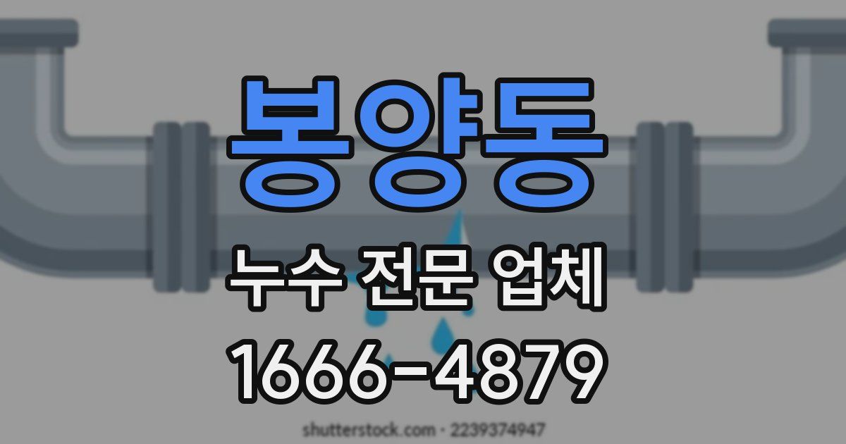 봉양동 누수 전문 업체