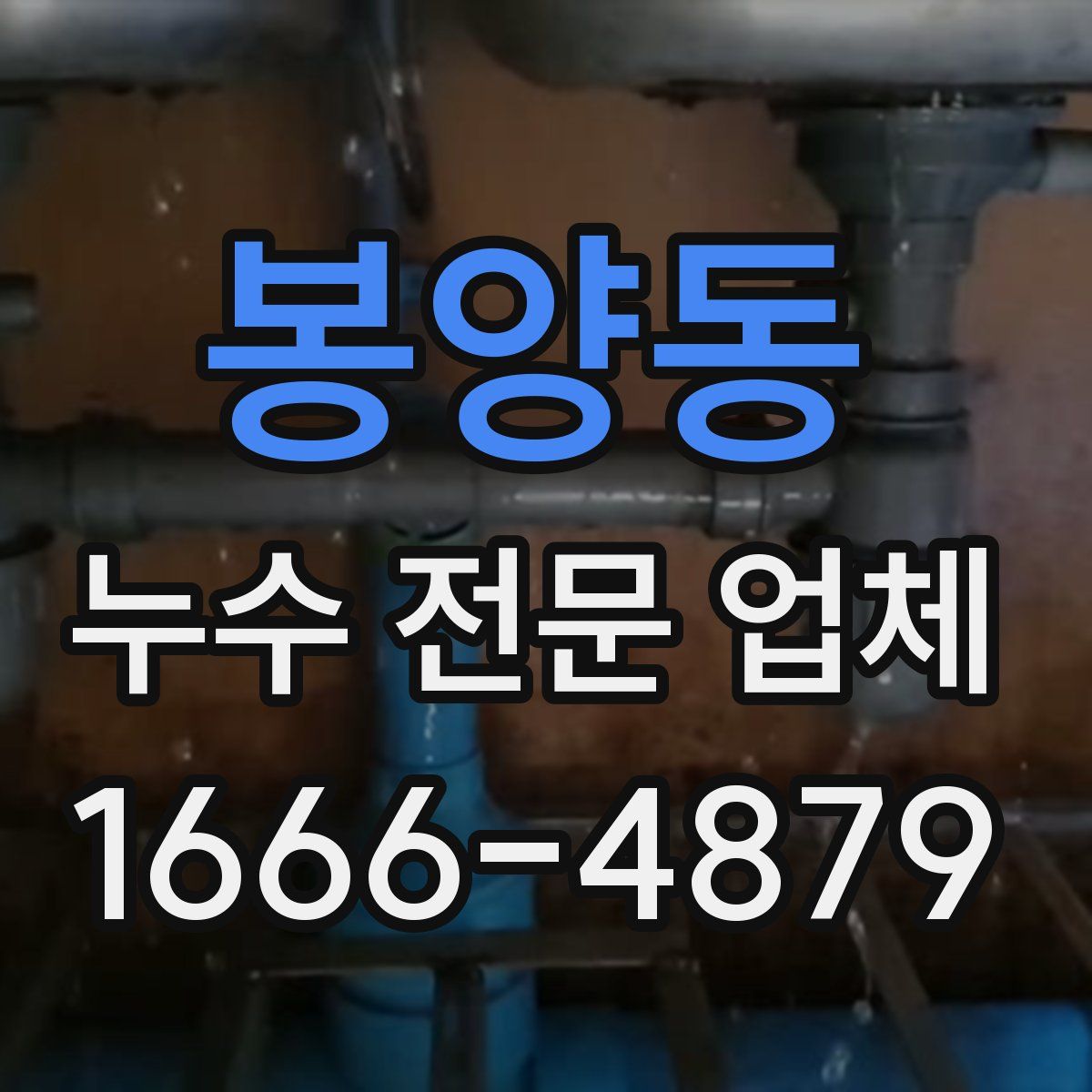 봉양동 누수 전문 업체