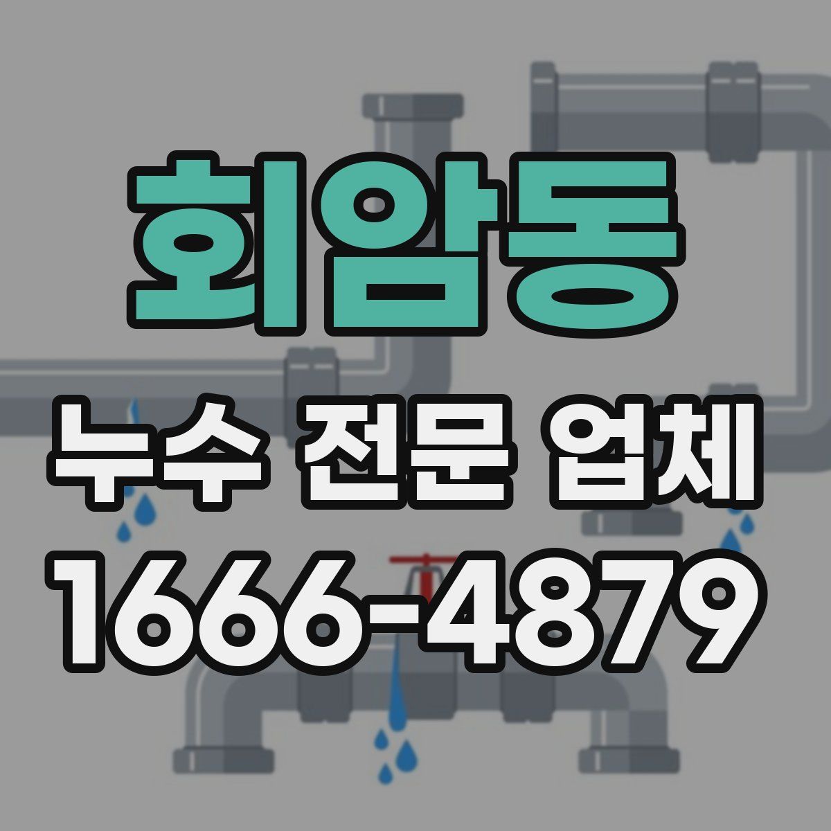 회암동 누수 전문 업체