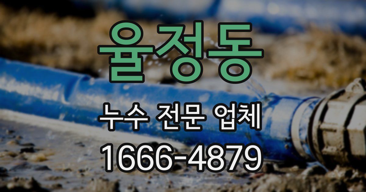 율정동 누수 전문 업체