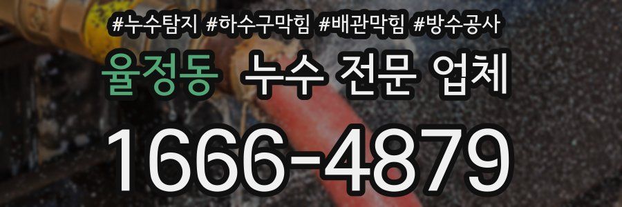 율정동 누수 전문 업체
