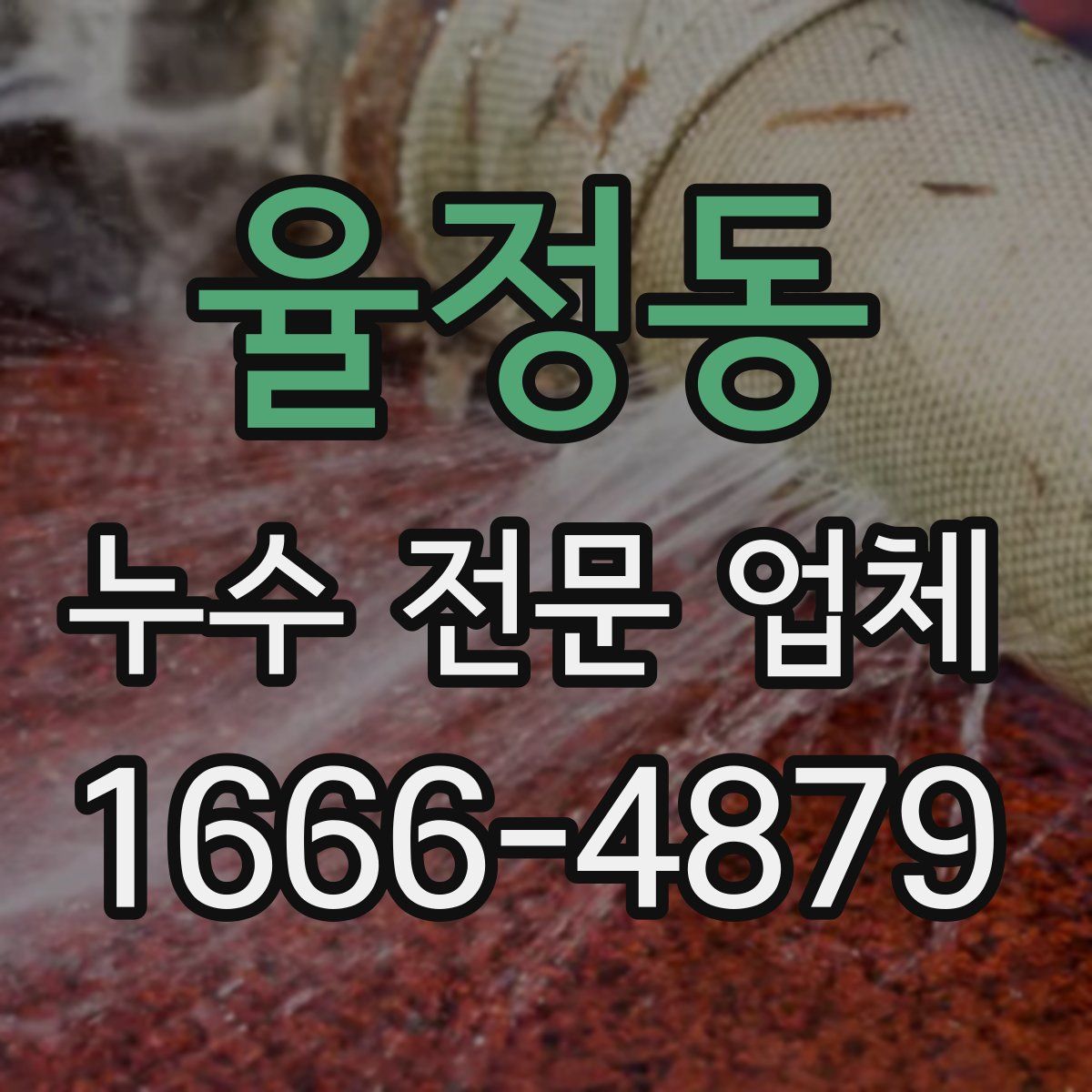율정동 누수 전문 업체