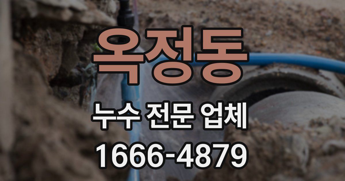 옥정동 누수 전문 업체