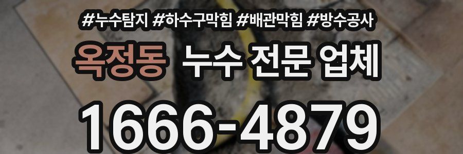 옥정동 누수 전문 업체