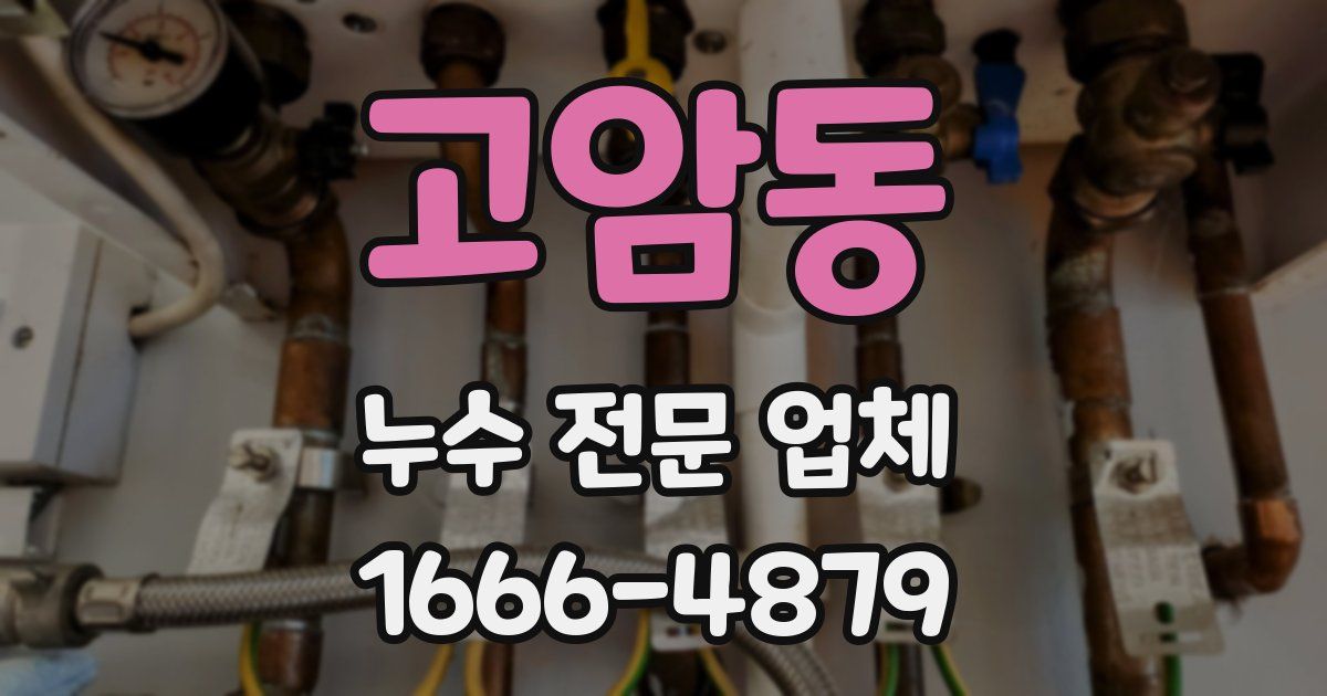 고암동 누수 전문 업체