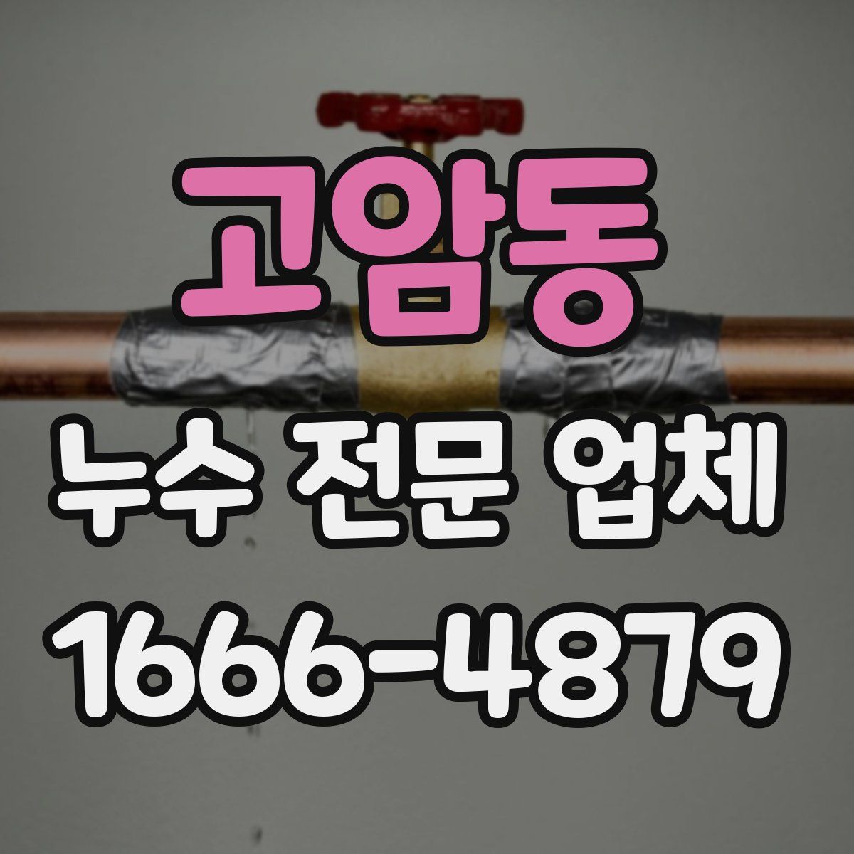 고암동 누수 전문 업체