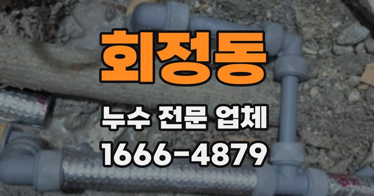 회정동 누수 전문 업체