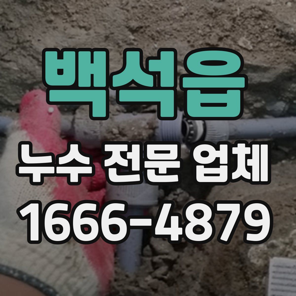 백석읍 누수 전문 업체