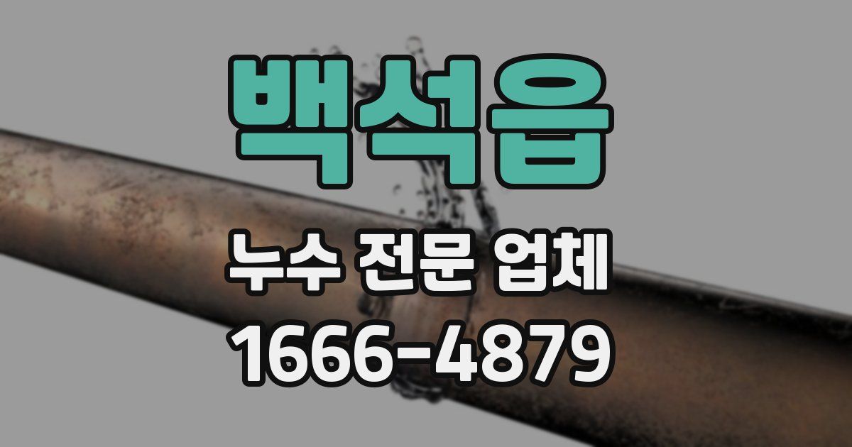 백석읍 누수 전문 업체