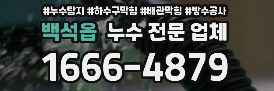 백석읍 누수 전문 업체