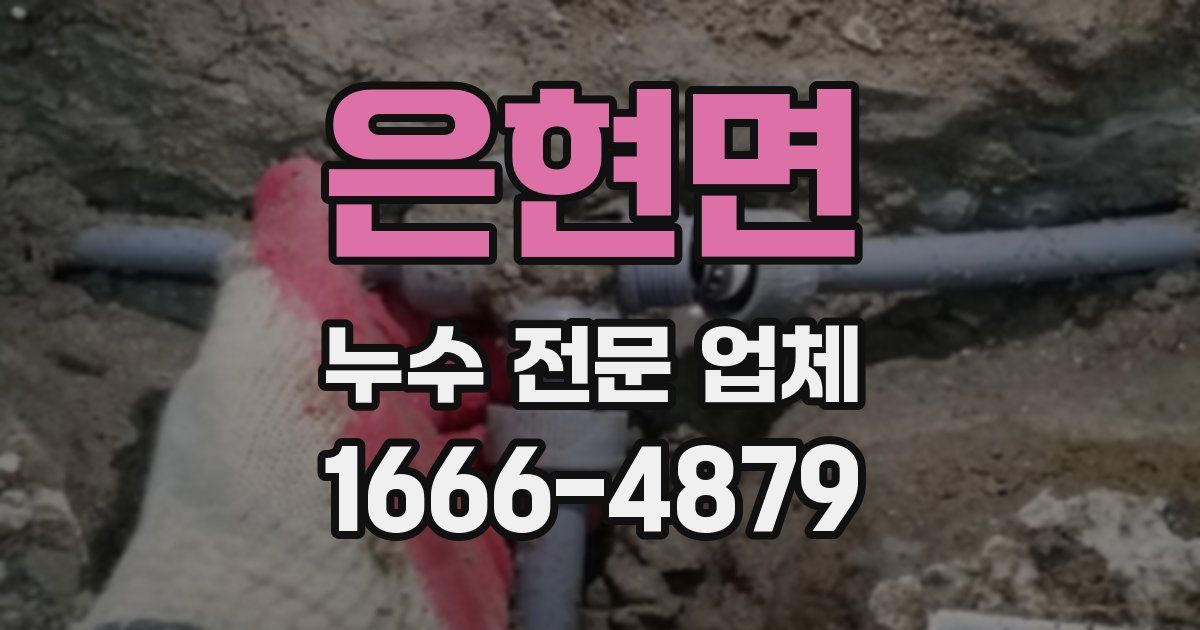 은현면 누수 전문 업체