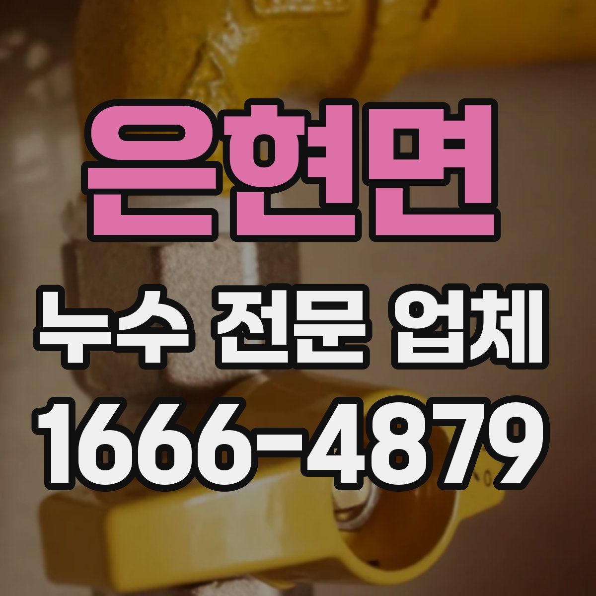 은현면 누수 전문 업체
