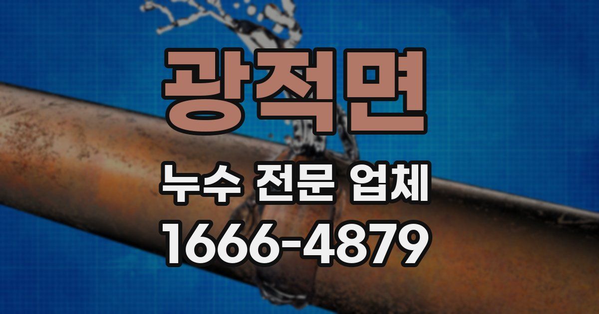 광적면 누수 전문 업체