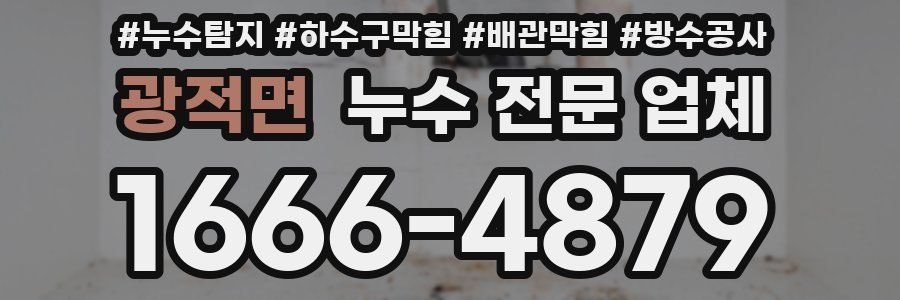 광적면 누수 전문 업체
