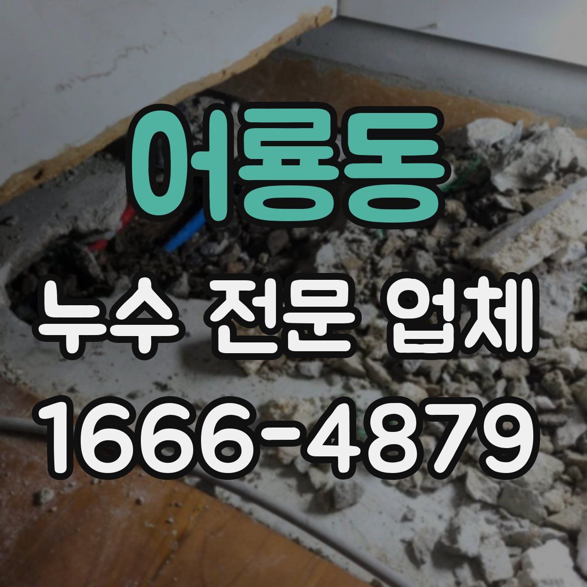 어룡동 누수 전문 업체