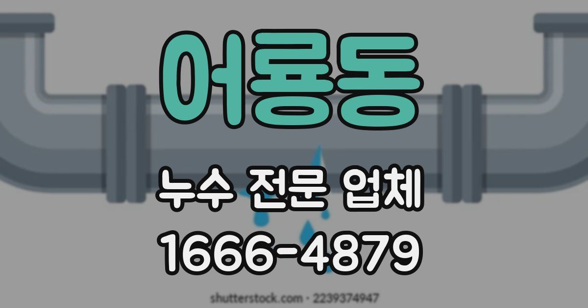 어룡동 누수 전문 업체