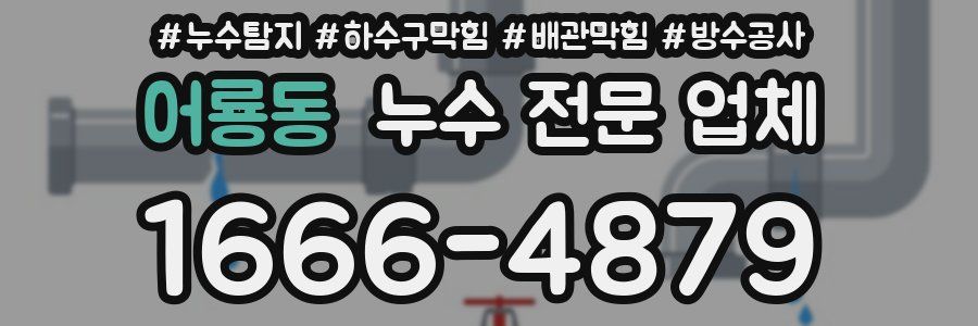 어룡동 누수 전문 업체