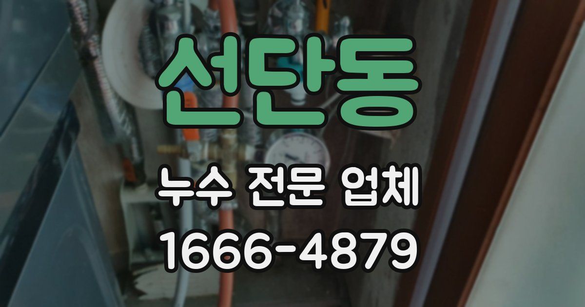 선단동 누수 전문 업체