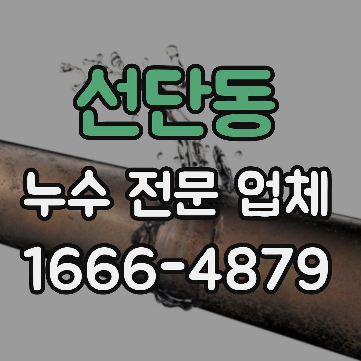 선단동 누수 전문 업체
