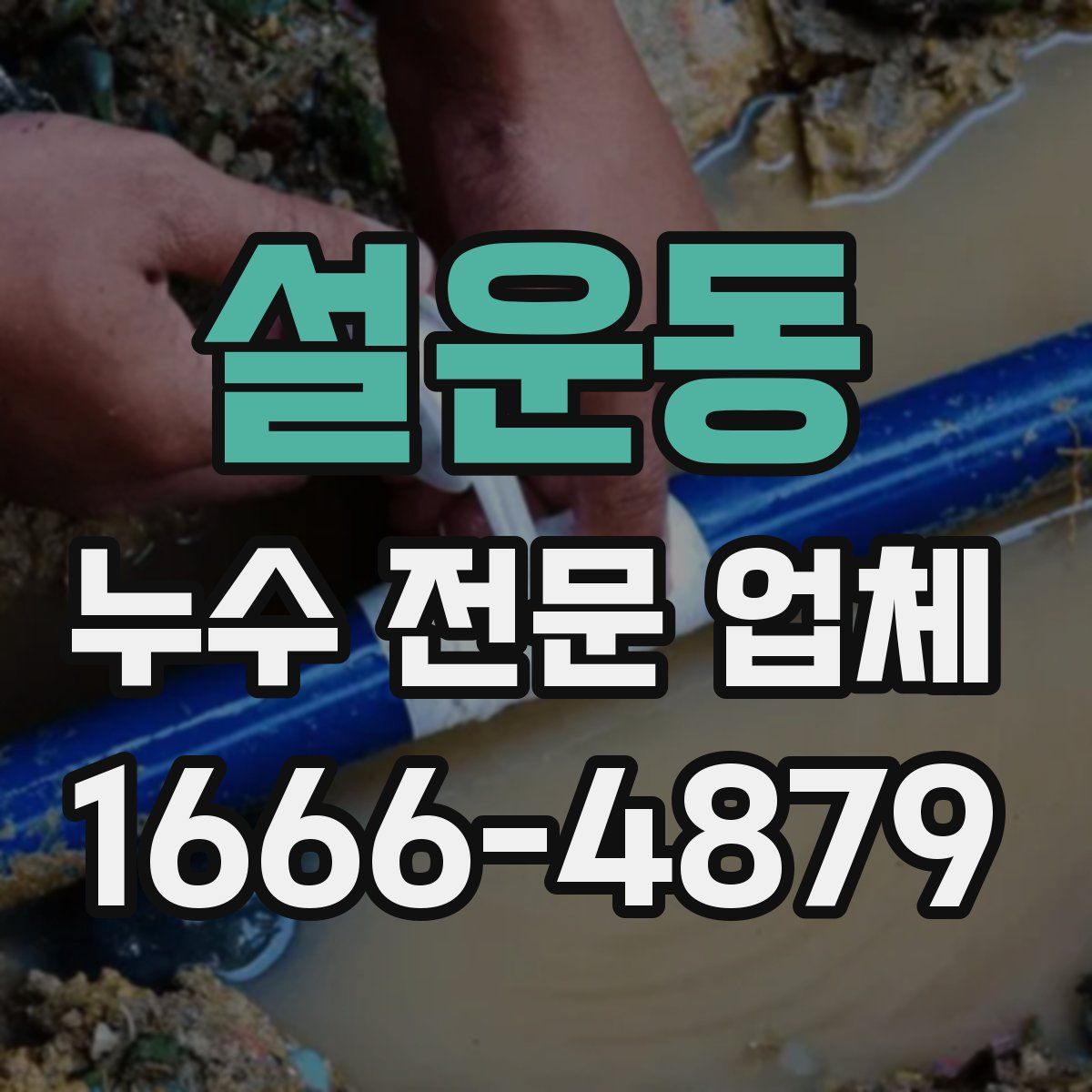 설운동 누수 전문 업체