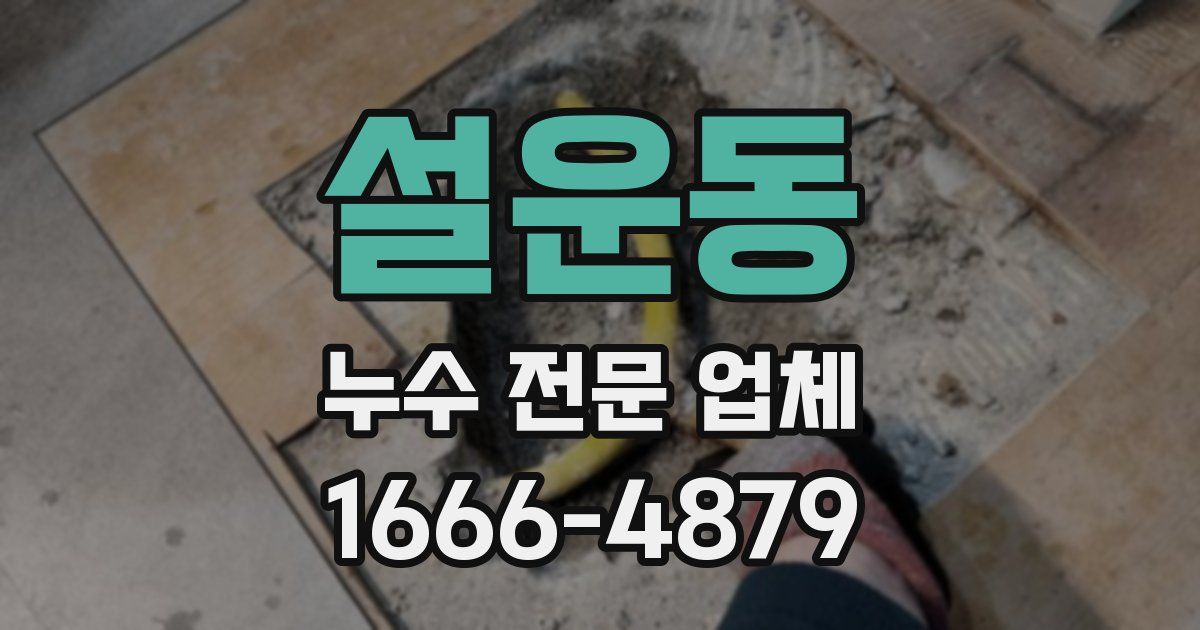 설운동 누수 전문 업체