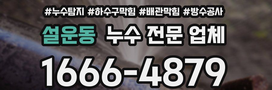 설운동 누수 전문 업체