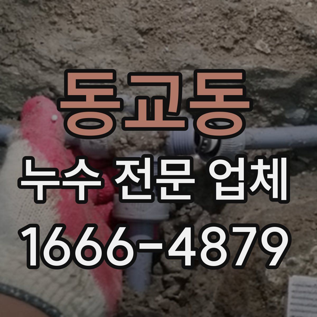 동교동 누수 전문 업체
