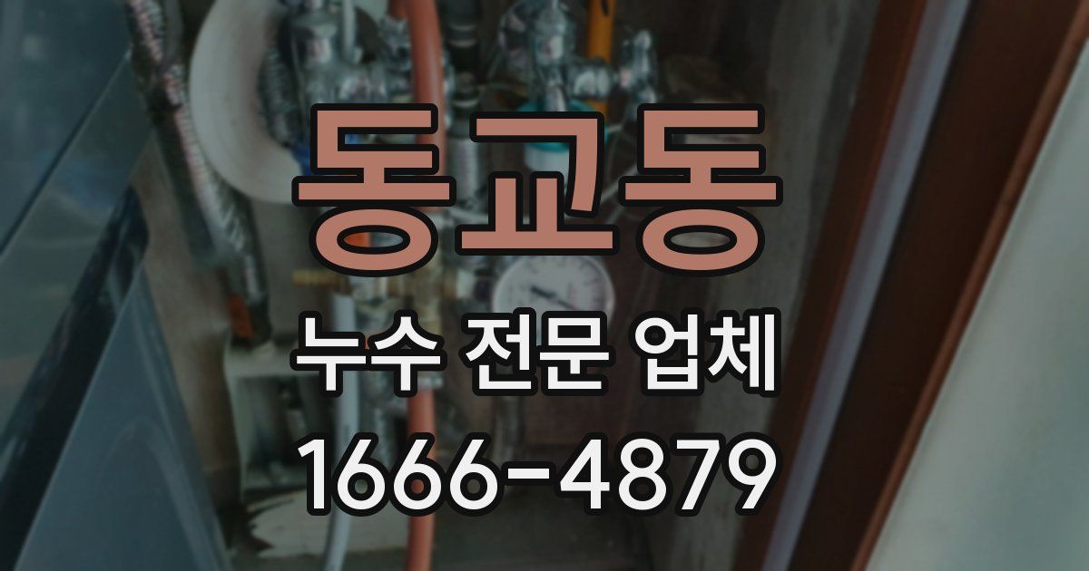 동교동 누수 전문 업체