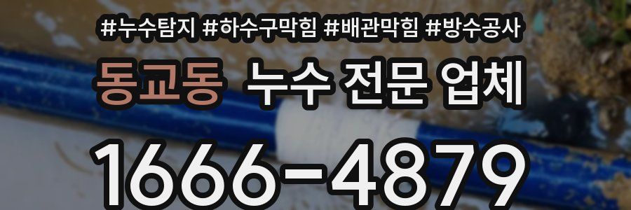 동교동 누수 전문 업체